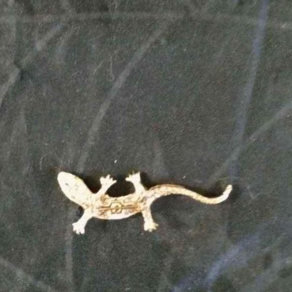 VTG PERIOD STYLE LIZARD BROOCH BROWN GLAZED ENAMEL WITH GREEN RHINESTONE EYES - Picture 4 of 5